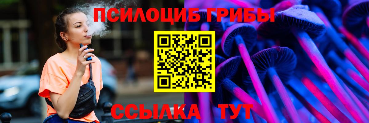 Шебекино  Псилоцибиновые грибы мухоморы  Псилоцибиновые грибы Magic Shrooms  Вход с VPN 
